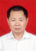 冯希哲